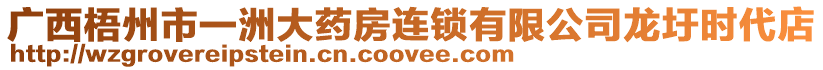 廣西梧州市一洲大藥房連鎖有限公司龍圩時代店