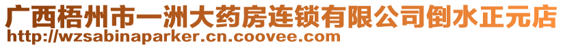 廣西梧州市一洲大藥房連鎖有限公司倒水正元店