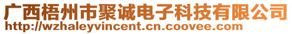 廣西梧州市聚誠電子科技有限公司