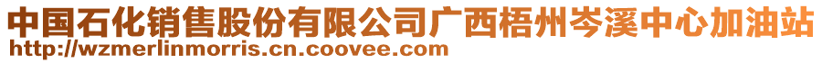 中國(guó)石化銷售股份有限公司廣西梧州岑溪中心加油站