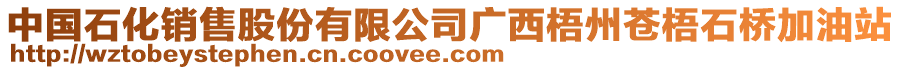 中國(guó)石化銷售股份有限公司廣西梧州蒼梧石橋加油站