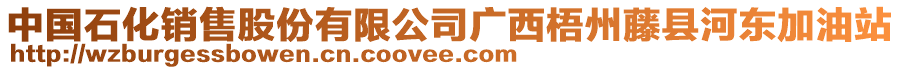 中國(guó)石化銷(xiāo)售股份有限公司廣西梧州藤縣河?xùn)|加油站