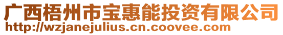 廣西梧州市寶惠能投資有限公司