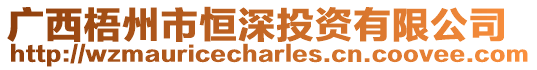 廣西梧州市恒深投資有限公司