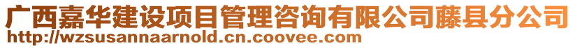 廣西嘉華建設項目管理咨詢有限公司藤縣分公司