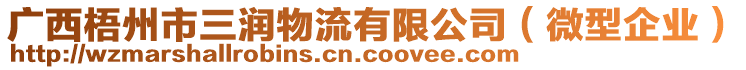 廣西梧州市三潤物流有限公司（微型企業(yè)）