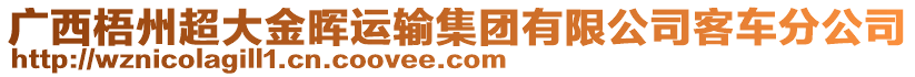 廣西梧州超大金暉運(yùn)輸集團(tuán)有限公司客車(chē)分公司