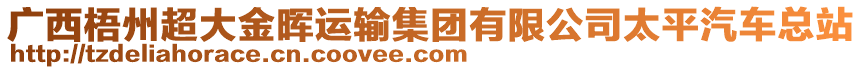 廣西梧州超大金暉運輸集團有限公司太平汽車總站