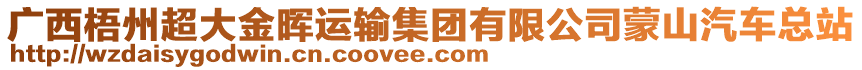 廣西梧州超大金暉運(yùn)輸集團(tuán)有限公司蒙山汽車(chē)總站