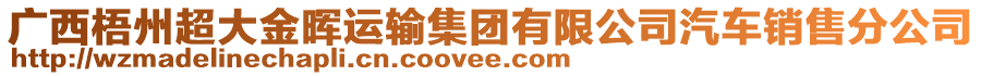 廣西梧州超大金暉運(yùn)輸集團(tuán)有限公司汽車(chē)銷售分公司