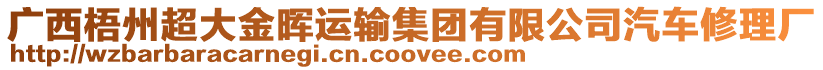 廣西梧州超大金暉運輸集團有限公司汽車修理廠