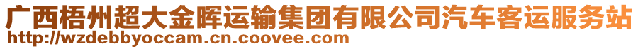 廣西梧州超大金暉運(yùn)輸集團(tuán)有限公司汽車客運(yùn)服務(wù)站