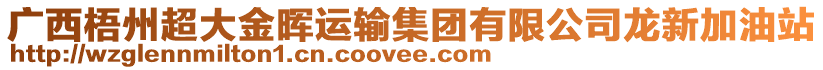 廣西梧州超大金暉運(yùn)輸集團(tuán)有限公司龍新加油站