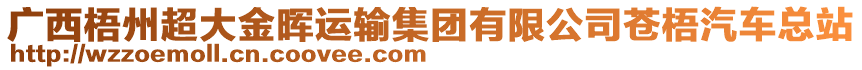 廣西梧州超大金暉運(yùn)輸集團(tuán)有限公司蒼梧汽車總站