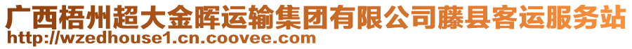 廣西梧州超大金暉運(yùn)輸集團(tuán)有限公司藤縣客運(yùn)服務(wù)站