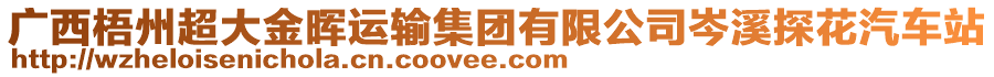 廣西梧州超大金暉運(yùn)輸集團(tuán)有限公司岑溪探花汽車(chē)站