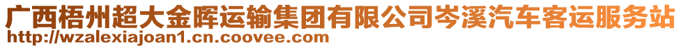 廣西梧州超大金暉運(yùn)輸集團(tuán)有限公司岑溪汽車(chē)客運(yùn)服務(wù)站