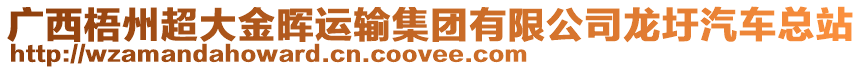 廣西梧州超大金暉運(yùn)輸集團(tuán)有限公司龍圩汽車總站