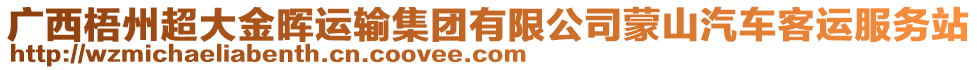 廣西梧州超大金暉運(yùn)輸集團(tuán)有限公司蒙山汽車客運(yùn)服務(wù)站