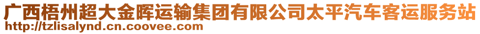 廣西梧州超大金暉運輸集團有限公司太平汽車客運服務(wù)站