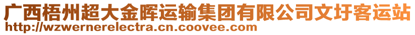 廣西梧州超大金暉運輸集團有限公司文圩客運站