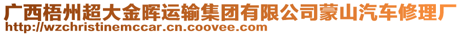 廣西梧州超大金暉運(yùn)輸集團(tuán)有限公司蒙山汽車修理廠