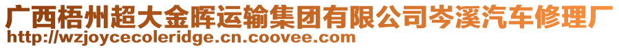 廣西梧州超大金暉運(yùn)輸集團(tuán)有限公司岑溪汽車(chē)修理廠