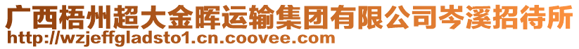 廣西梧州超大金暉運(yùn)輸集團(tuán)有限公司岑溪招待所