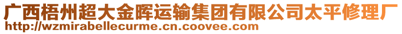 廣西梧州超大金暉運輸集團有限公司太平修理廠