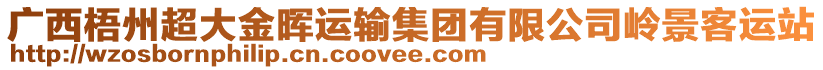 廣西梧州超大金暉運輸集團有限公司嶺景客運站