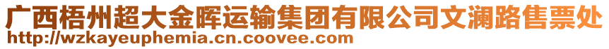 廣西梧州超大金暉運輸集團有限公司文瀾路售票處