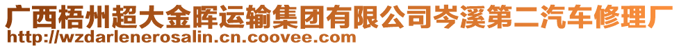 廣西梧州超大金暉運輸集團有限公司岑溪第二汽車修理廠