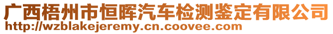 廣西梧州市恒暉汽車檢測鑒定有限公司