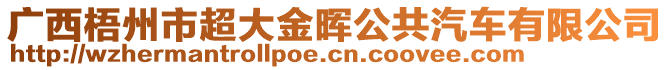 廣西梧州市超大金暉公共汽車有限公司