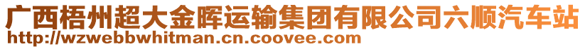 廣西梧州超大金暉運(yùn)輸集團(tuán)有限公司六順汽車站