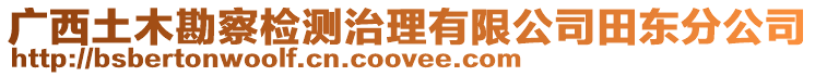 廣西土木勘察檢測治理有限公司田東分公司