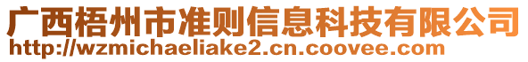 廣西梧州市準(zhǔn)則信息科技有限公司