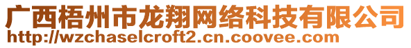 廣西梧州市龍翔網(wǎng)絡科技有限公司