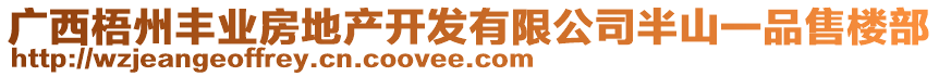 廣西梧州豐業(yè)房地產(chǎn)開發(fā)有限公司半山一品售樓部