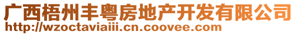 廣西梧州豐粵房地產(chǎn)開發(fā)有限公司