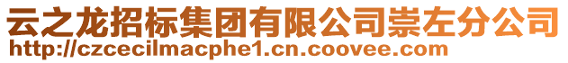 云之龍招標集團有限公司崇左分公司