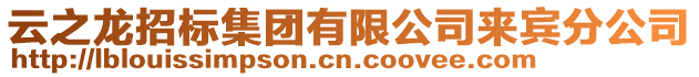 云之龍招標集團有限公司來賓分公司