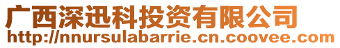 廣西深迅科投資有限公司