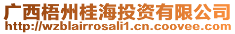 廣西梧州桂海投資有限公司