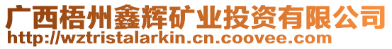 廣西梧州鑫輝礦業(yè)投資有限公司