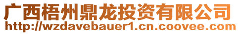 廣西梧州鼎龍投資有限公司