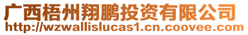 廣西梧州翔鵬投資有限公司