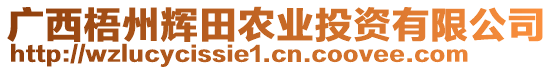 廣西梧州輝田農(nóng)業(yè)投資有限公司