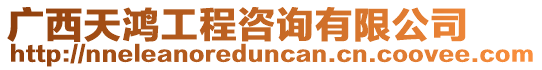 廣西天鴻工程咨詢有限公司