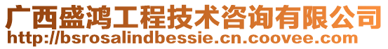 廣西盛鴻工程技術咨詢有限公司